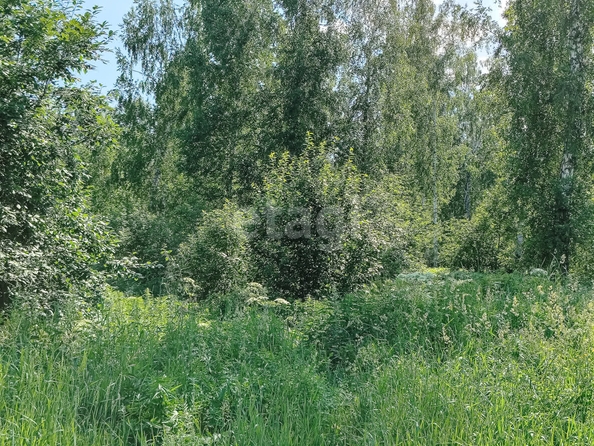 
  Продается земельный участок 10 соток, в КП Гармония. Фото 8.