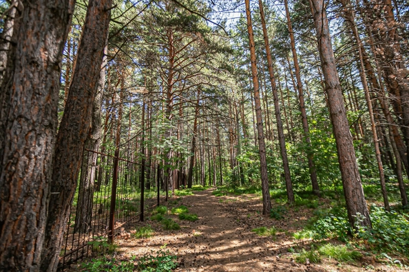
  Продается 1-комн. квартира 39 м². Фото 20.
