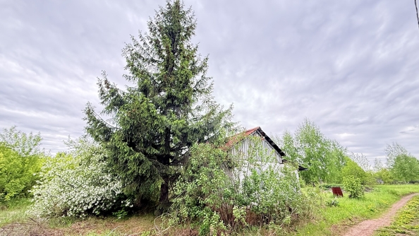 
  Продается дача 25 м². Фото 7.