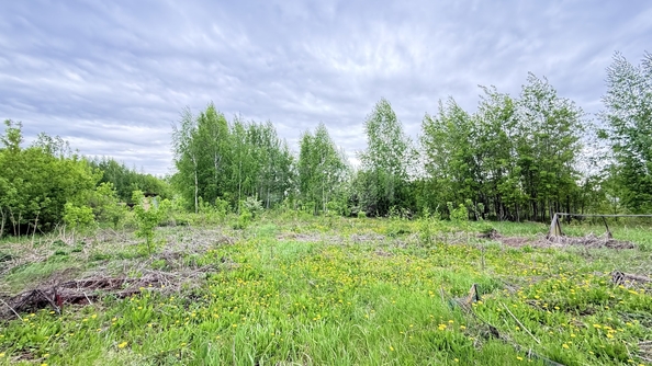 
  Продается дача 25 м². Фото 17.