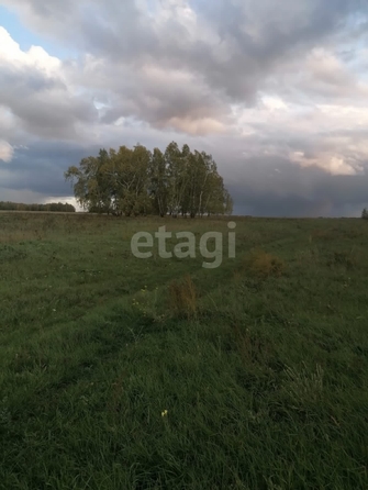 
  Продается земельный участок 1291.6 сотка. Фото 4.