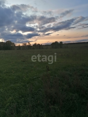
  Продается земельный участок 1291.6 сотка. Фото 5.