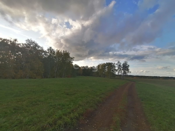 
  Продается земельный участок 1291.6 сотка. Фото 13.