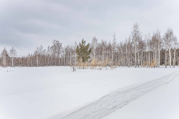 
  Продается земельный участок 8.03 соток. Фото 5.