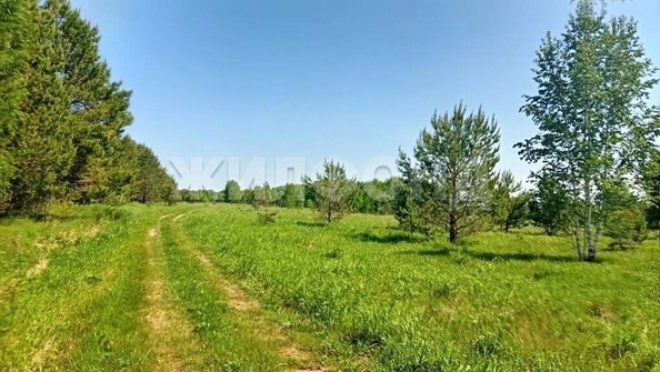 
  Продается земельный участок 8.2 соток. Фото 2.