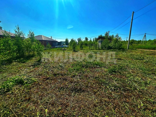 
  Продается земельный участок 4.19 сотки, в КП Благодатный. Фото 8.