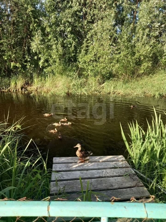 
  Продается дача 50 м². Фото 27.