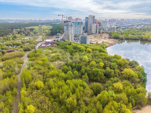 
  Продается земельный участок 65 соток. Фото 9.