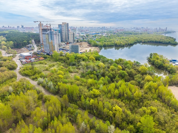 
  Продается земельный участок 65 соток. Фото 11.