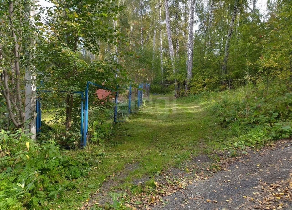 
  Продается дача 22.5 м². Фото 4.