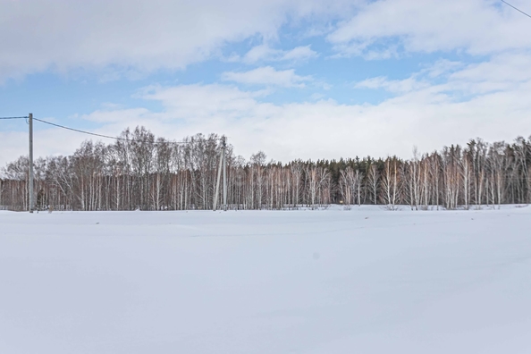 
  Продается земельный участок 8 соток. Фото 4.
