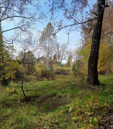 
  Продается земельный участок 7.3 соток. Фото 3.