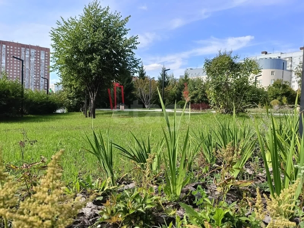 
  Продается студия 30.25 м², в ЖК Характер. Фото 3.