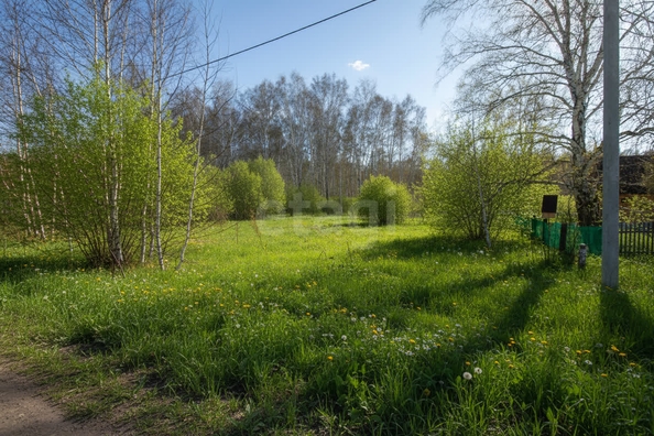 
  Продается земельный участок 10 соток. Фото 6.