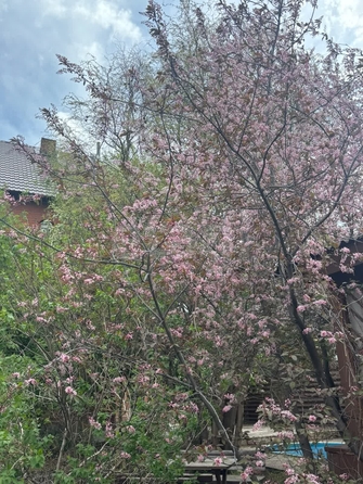 
  Продается дом 386 м². Фото 20.