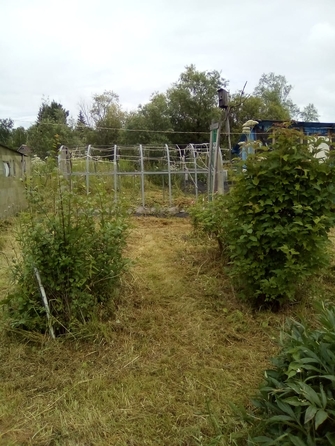 
  Продам дачу 24 м². Фото 8.