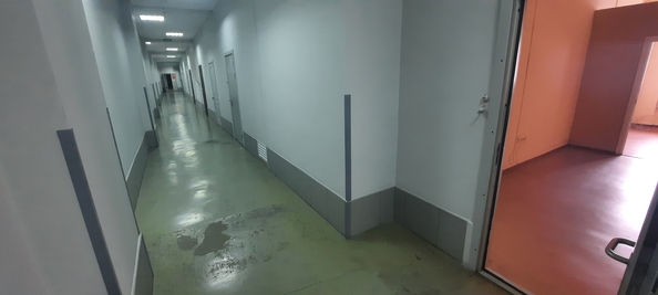 
  Сдается универсальное помещение 51.2 м². Фото 11.