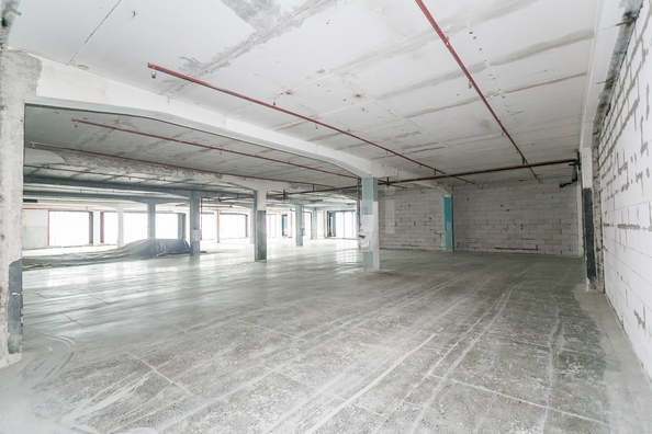 
  Продается универсальное помещение 944.9 м². Фото 23.