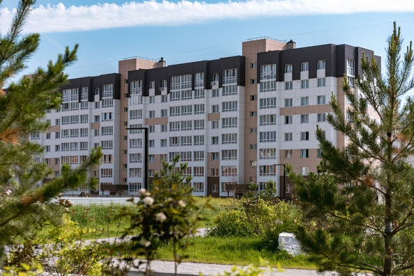 
  Продается 3-комн. квартира 69.3 м², в ЖК Фламинго, дом 20. Фото 2.