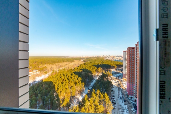 
  Продается 1-комн. квартира 48.9 м², в ЖК Бирюзовая жемчужина-4. Фото 20.