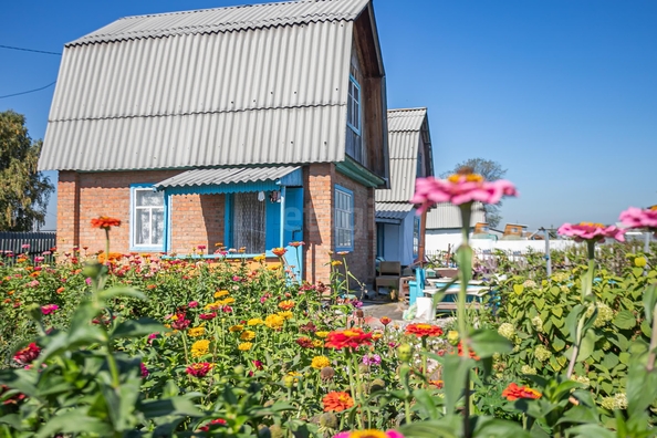 
  Продается дача 42 м². Фото 3.