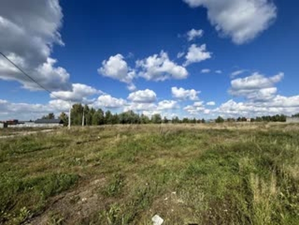 
  Продается земельный участок 8.8 соток. Фото 7.