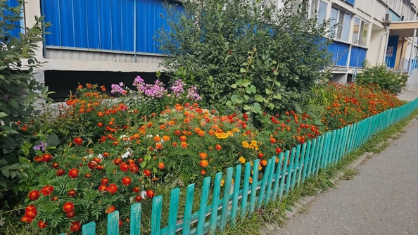 
  Продается студия 19.5 м². Фото 13.