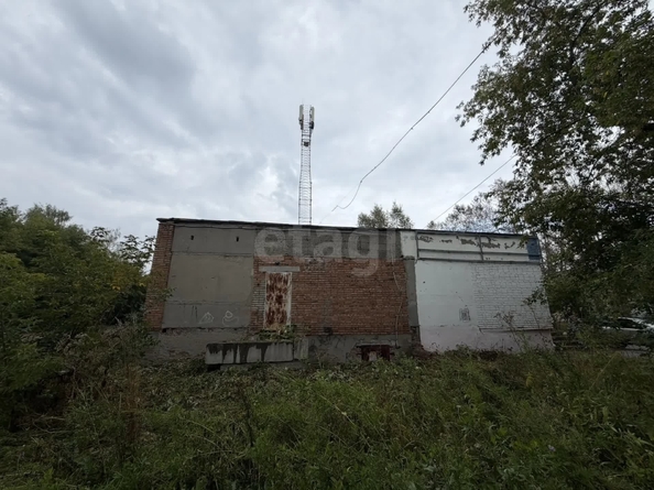 
  Продается торговая площадь 338 м². Фото 5.