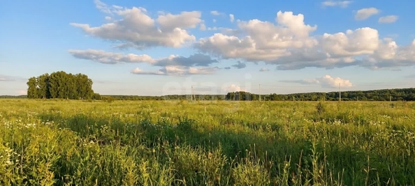 
  Продается земельный участок 6 соток. Фото 1.