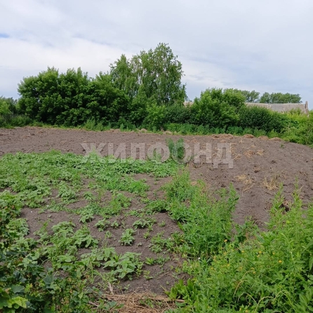 
  Продается дом 50 м². Фото 2.
