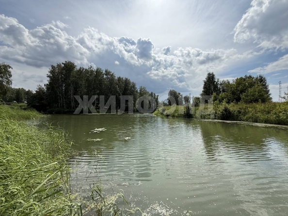 
  Продается земельный участок 31.97 сотка. Фото 16.
