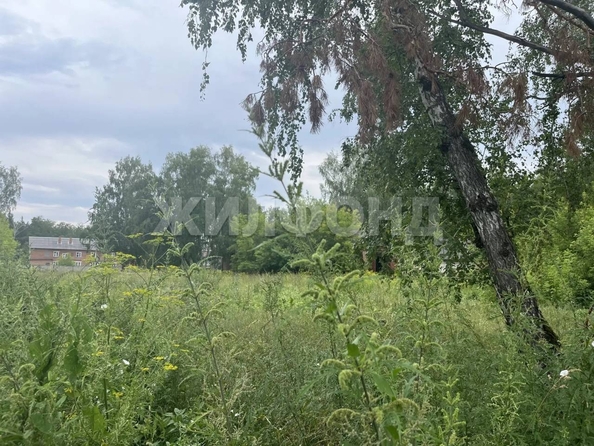 
  Продается земельный участок 48.1 соток. Фото 1.