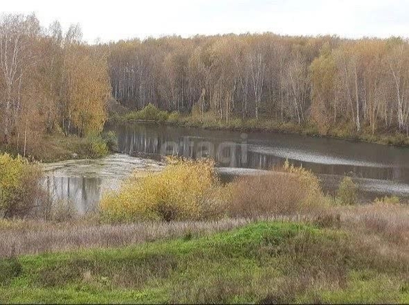 
  Продается земельный участок 14 соток. Фото 5.