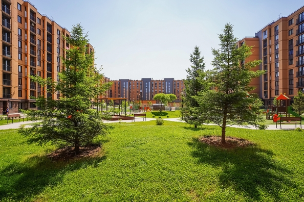 
  Продается 1-комн. квартира 28.8 м², в ЖК Цивилизация, дом 2. Фото 5.