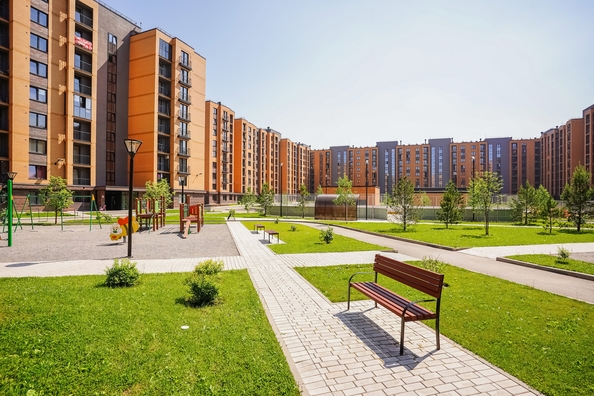 
  Продается 1-комн. квартира 28.8 м², в ЖК Цивилизация, дом 2. Фото 18.