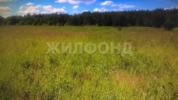 
  Продается земельный участок 175012 соток. Фото 1.