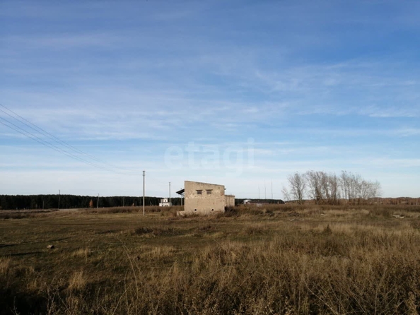 
  Продается универсальное помещение 55.3 м². Фото 11.