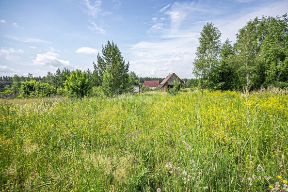 
  Продается земельный участок 5 соток. Фото 5.