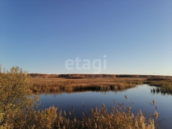 
  Продается земельный участок 1740 соток. Фото 19.