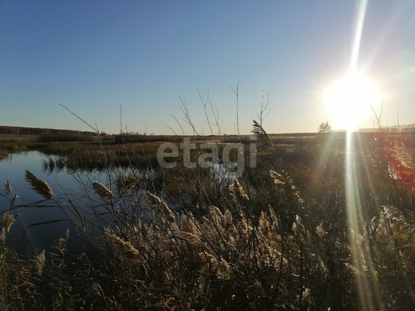 
  Продается земельный участок 1740 соток. Фото 29.