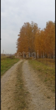 
  Продается земельный участок 28 соток. Фото 3.