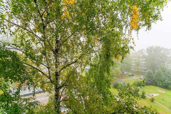 
  Продается 3-комн. квартира 57 м². Фото 15.