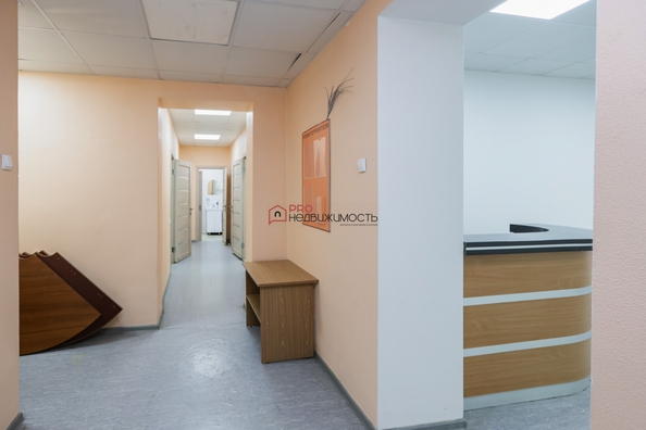 
  Сдается офис 175.4 м². Фото 26.