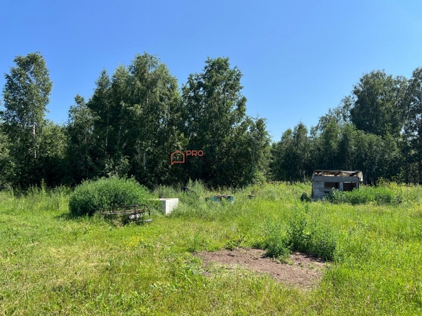 
  Продается универсальное помещение 50 м². Фото 6.