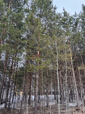 
  Продается земельный участок 9 соток, в КП Лаки Парк. Фото 8.
