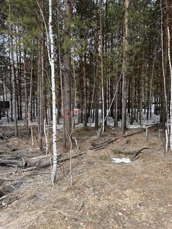 
  Продается земельный участок 9 соток, в КП Лаки Парк. Фото 11.