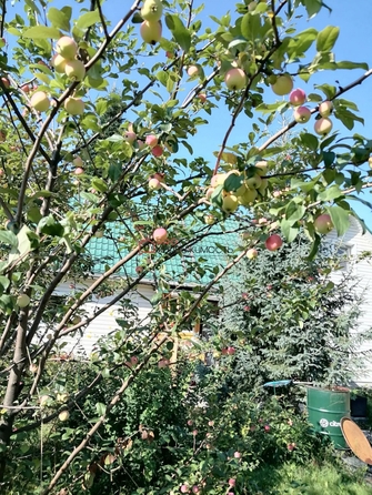 
  Продается коттедж 113.7 м². Фото 25.