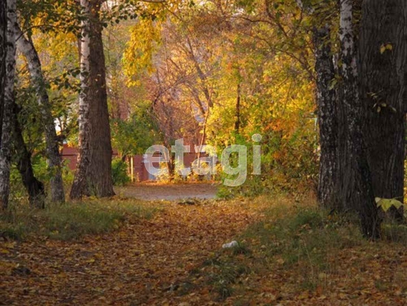 
  Продается комната 18 м². Фото 4.