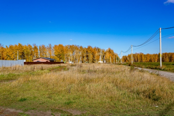 
  Продается земельный участок 8.95 соток. Фото 3.