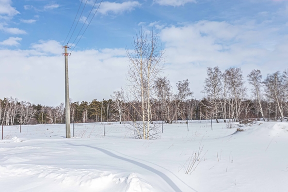 
  Продается земельный участок 7.98 соток. Фото 5.